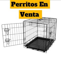 Small Dog Crate/Jaula Pequeña De Perritos 