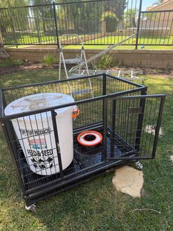Dog crate with extras
