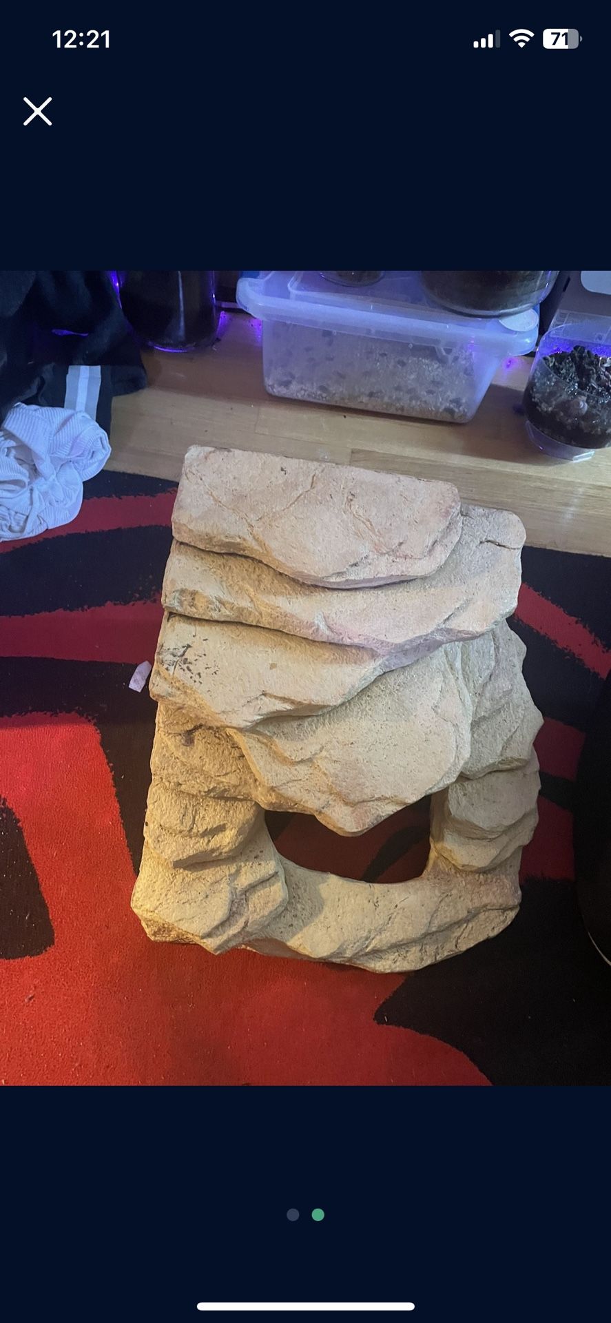 Reptile Cave