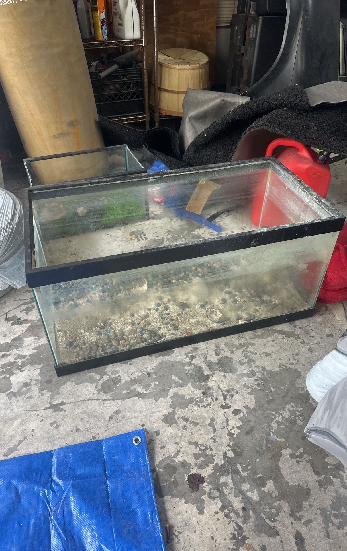 Large Turtle Tank