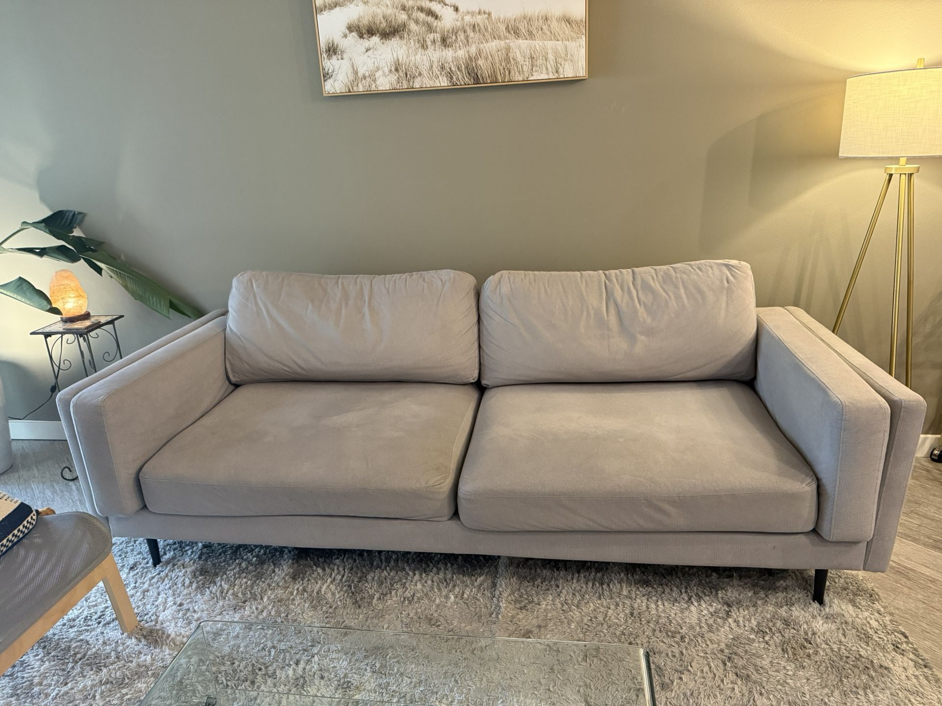 Nice Gray Couch