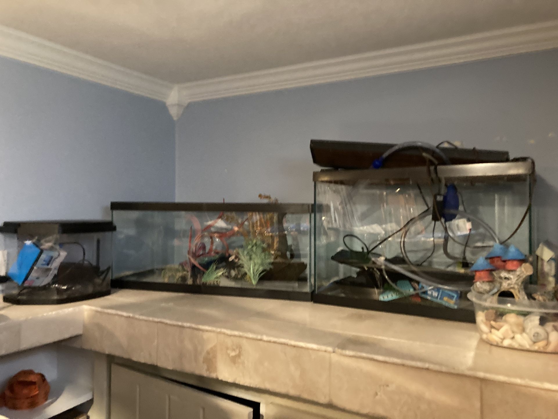 Fish Tanks+Everything You Need For Them (Check Description for Pricing)