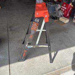 Little giant ladder
