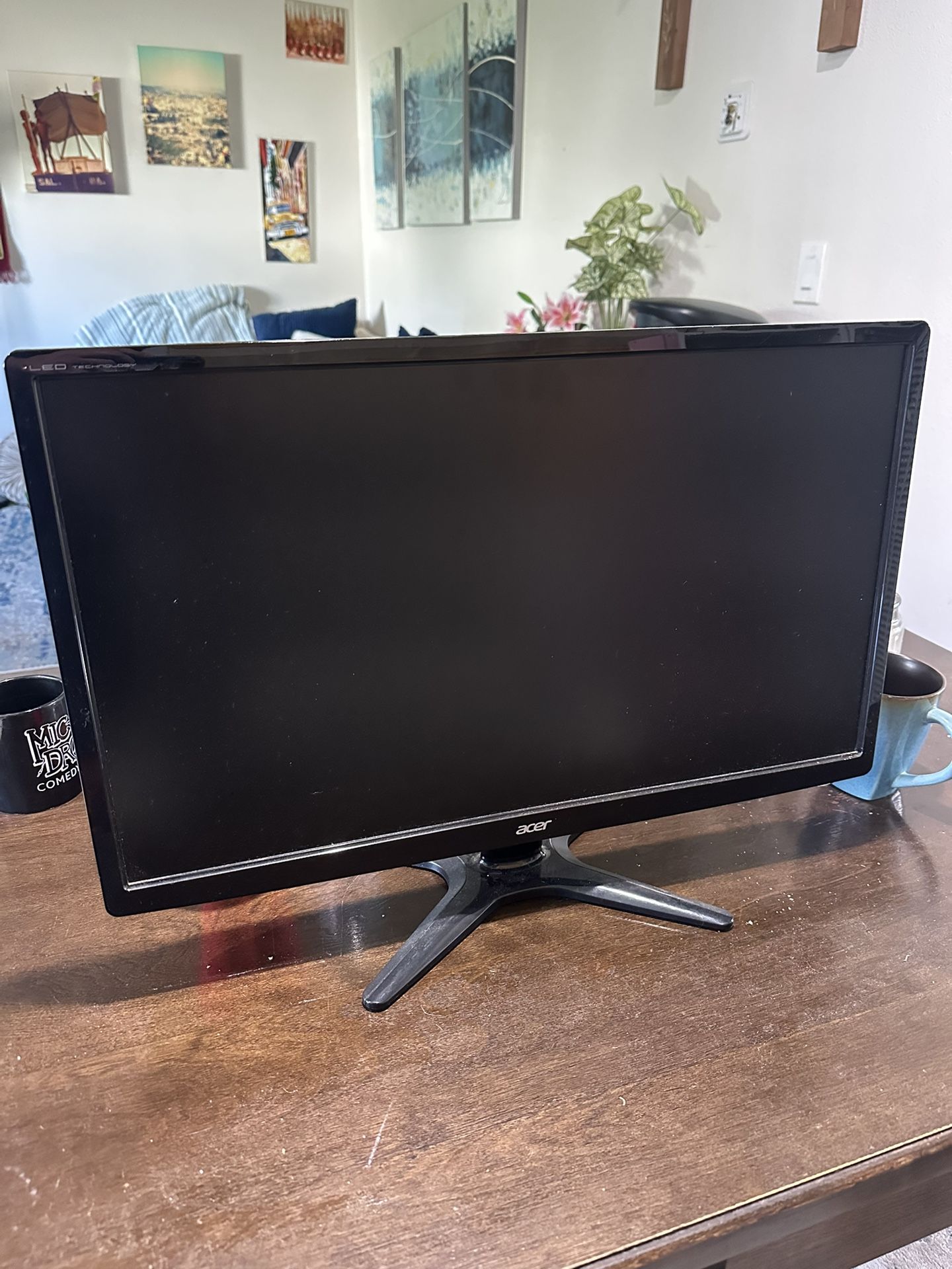 Computer Monitor 24 Inch
