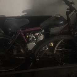 Gas Powered Bike