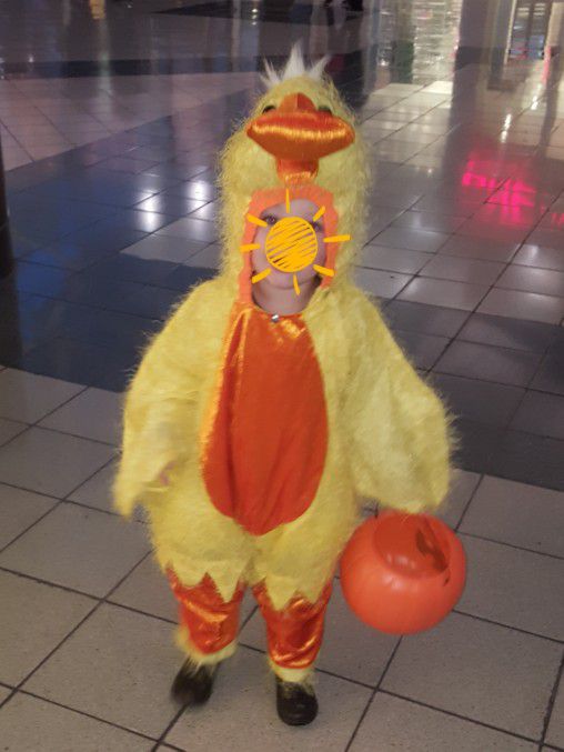 Unisex Kids Duck Costume ! Size 4t