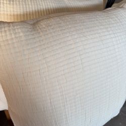 Large White Pillows (2)