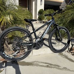 Giant XTC 24” Disc 