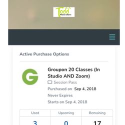 17 CLASS TODD PILATES PASS