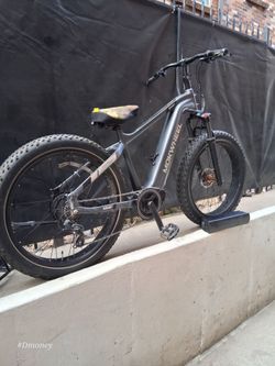 Long range fat tire e bike