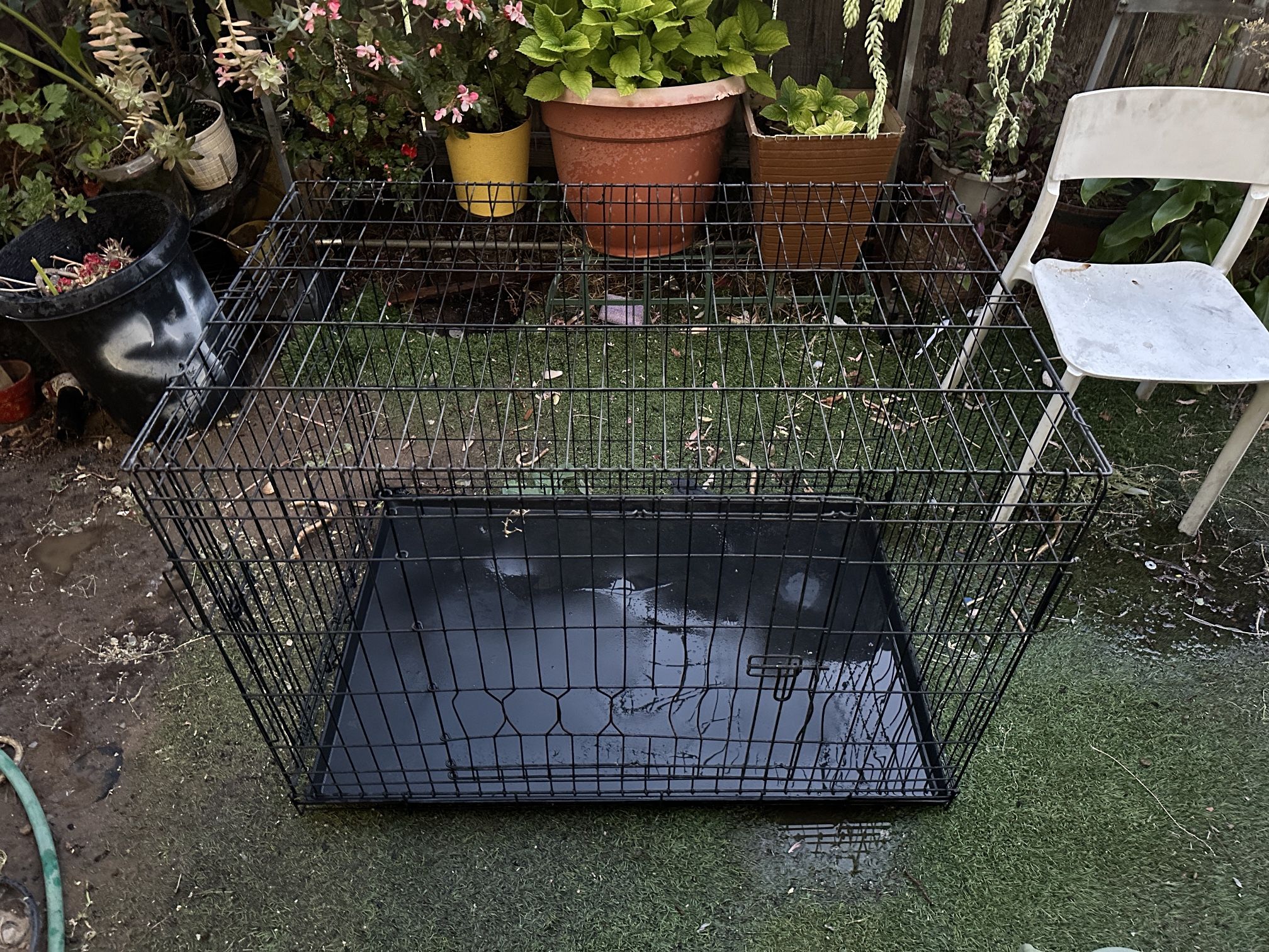 Dog Cage/ Kennel