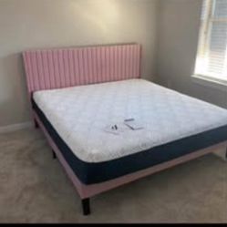 Pink Queen Bedframe