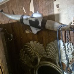 Bull Horns