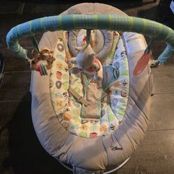 Winnie The Pooh Bouncer