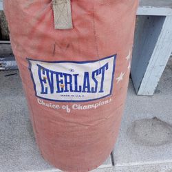  Everlast Punching Bag ✊💥👊💥