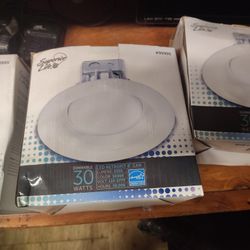 Led Retrofit 8-in Can Lights 4 Of Them 100.00