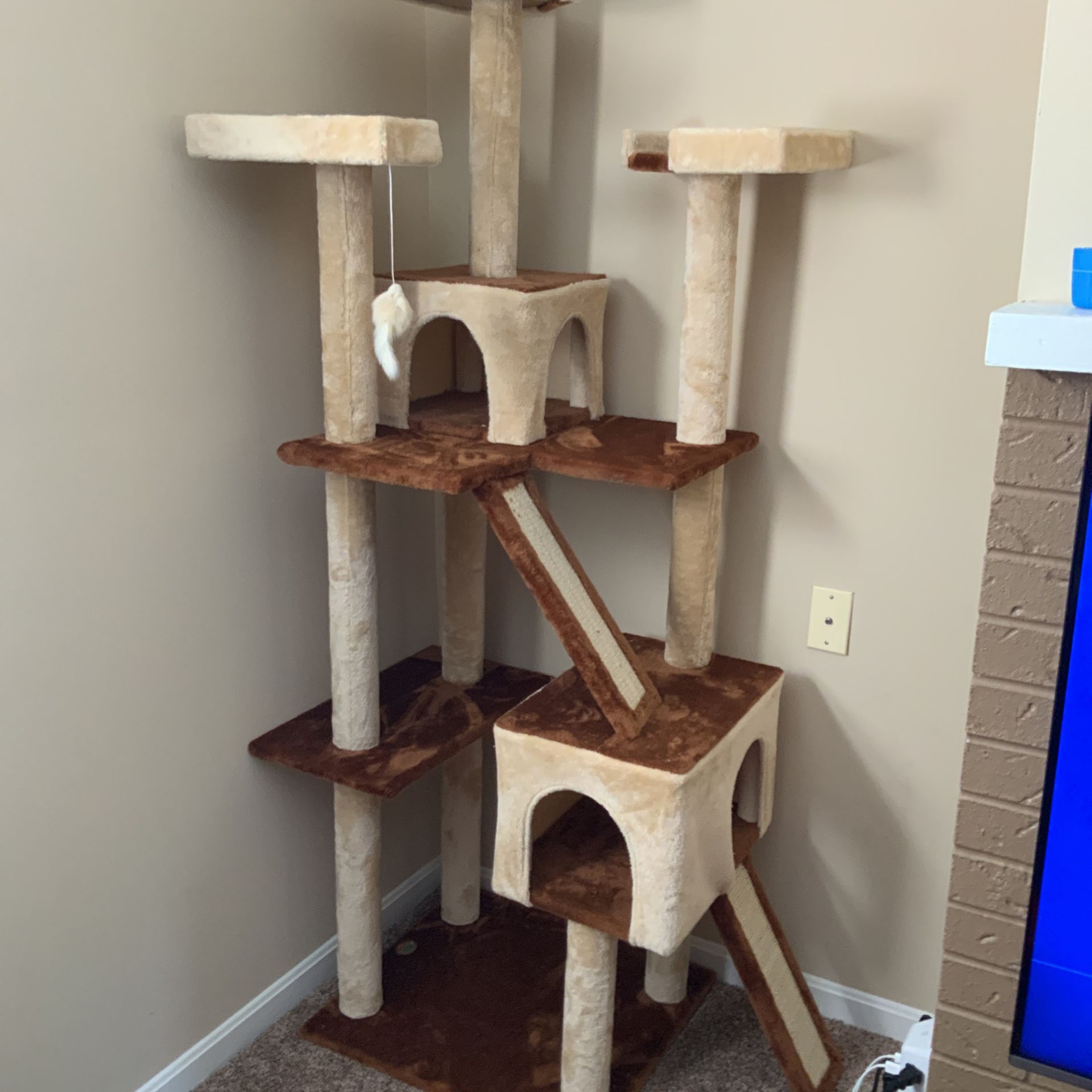 Cat Tree Super Fun For Cats Can Make As Their Home Has Many Activities To It Very Big. 