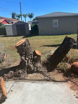 Stumps