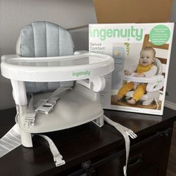 Folding Booster Seat 