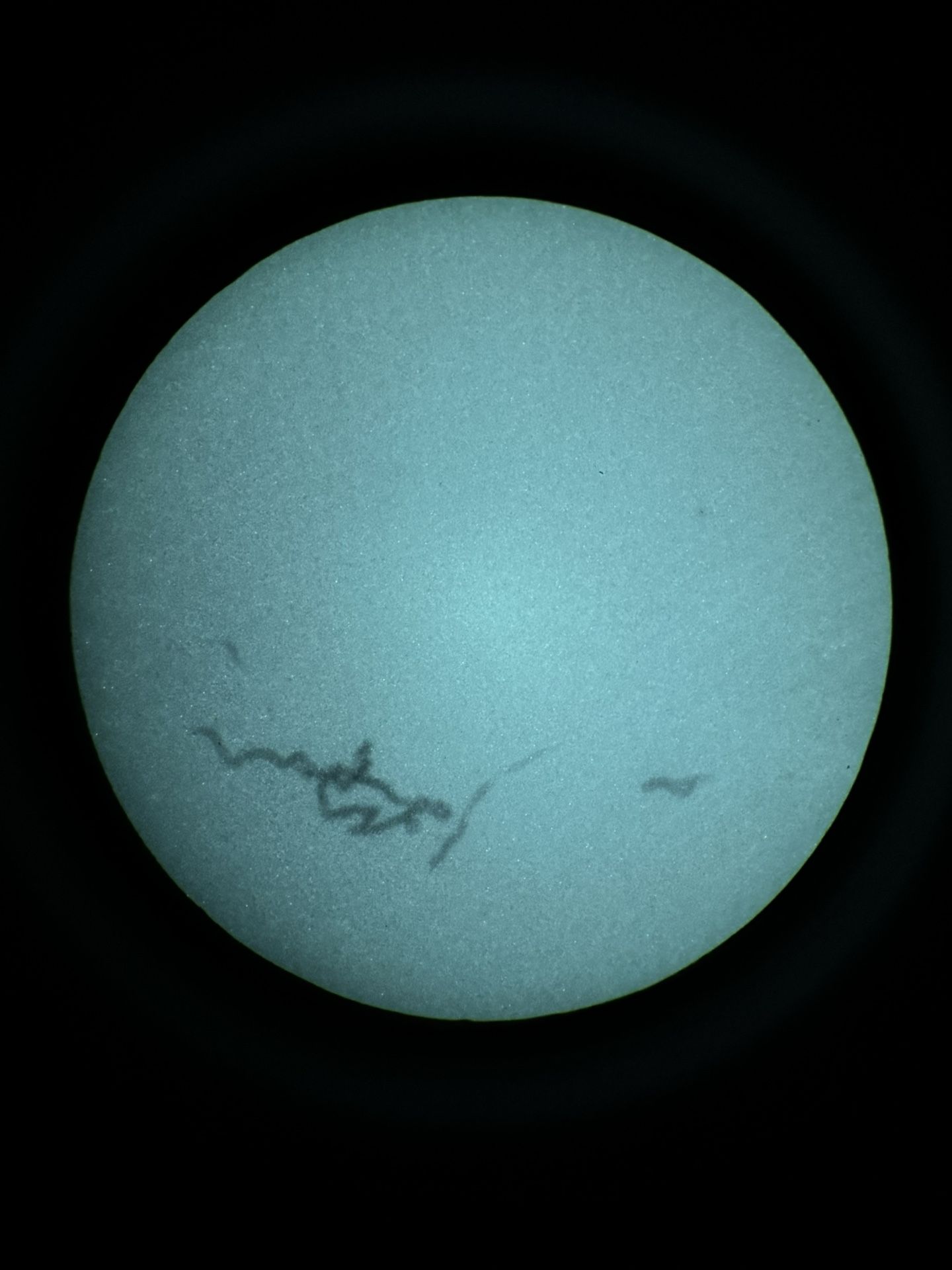 Rare Elbit White Phos PVS14, 2300+ FOM Minimum