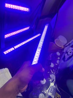 Lights