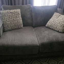 Living Room Couch and Love Seat