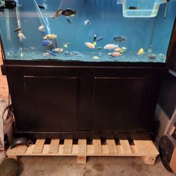 75gallon Aquarium/fish Tank 