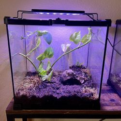 Beautiful Terrarium Enclosure glass tank 
