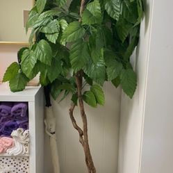 Potted artificial Plant- 5feet