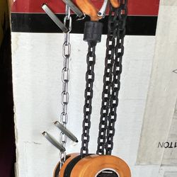 Hoisted 20ft High Chain