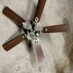 Ceiling Fan With Light