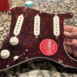 Squier 70’s Classic Vibes Loaded Pickguard