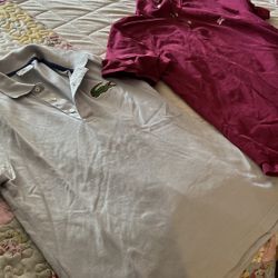Polo’s Burberry And Lacoste