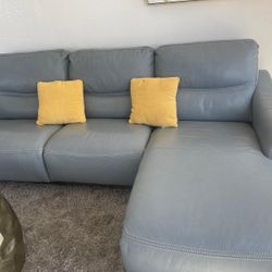 All Leather 1 Yr Old