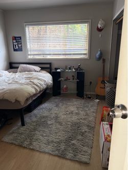 Free rugs