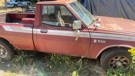 1982 Dodge D50