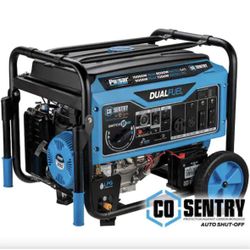 10,000/8,000  Watt Dual-Fuel Portable Generator
