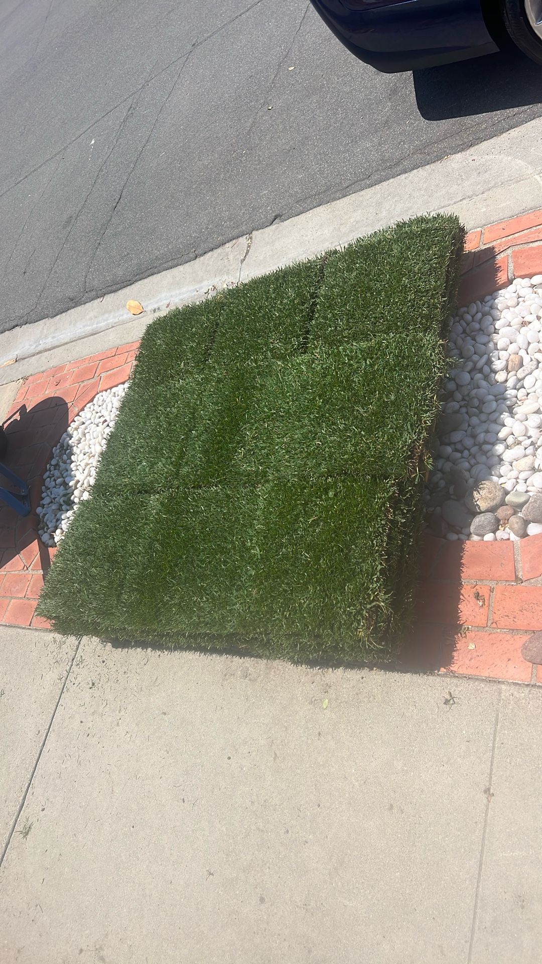 Free Sod