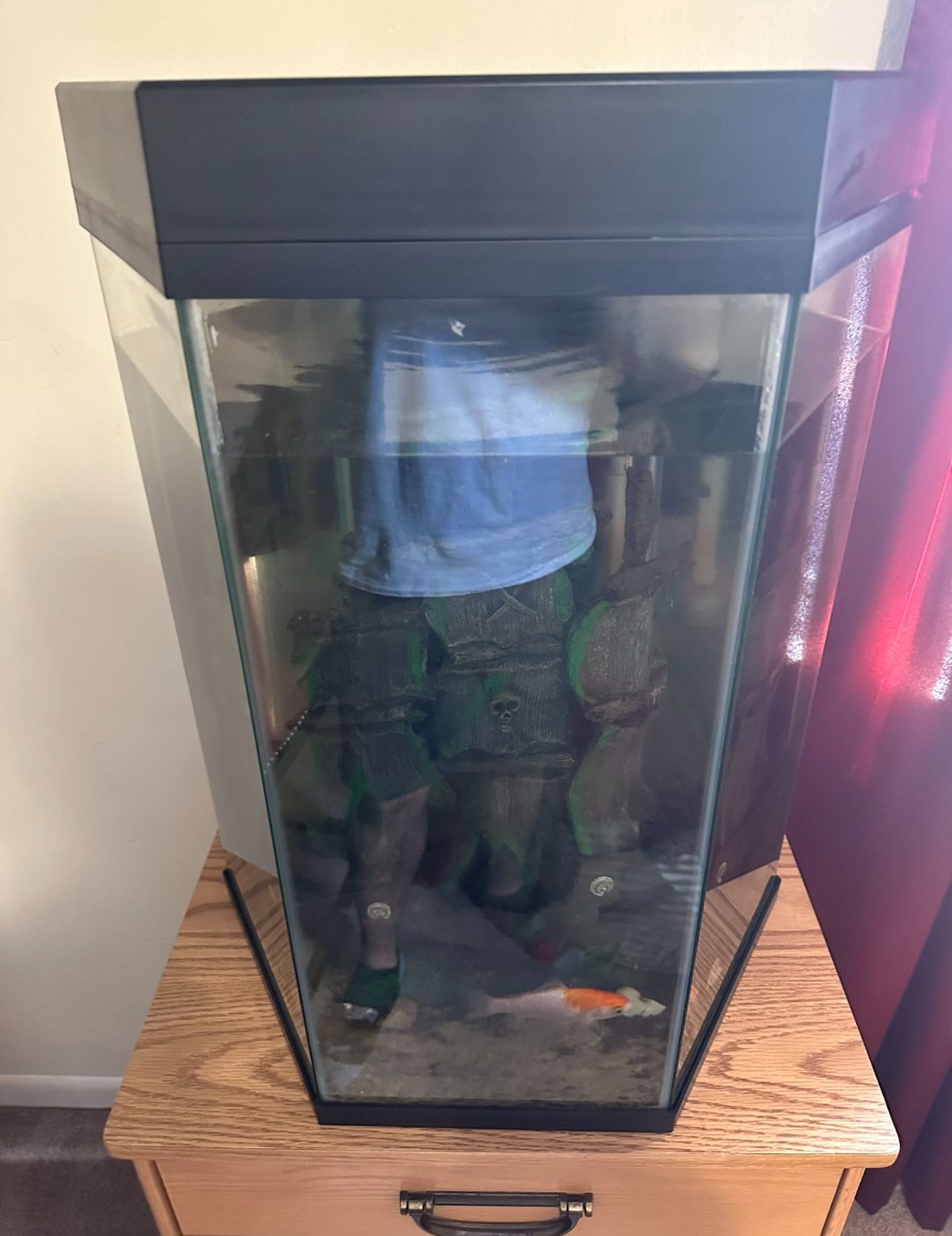 30 Gallon Fish Tank