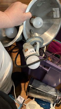 Contractor Spot Light