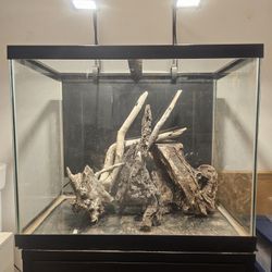 56 Gal, Fluval 407, 300w Heater, Full Spectrum Lighting 