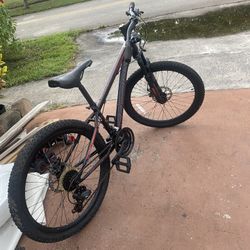 24’ Bicycle 