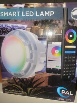 PAL LED Remote Pool LIGHT