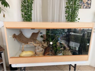 Reptile enclosure 2ftx4ft with accessories