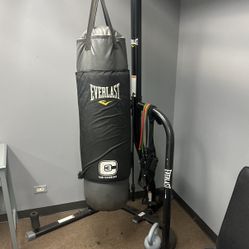 Everlast 3c Punching Bag With Everlast Stand 