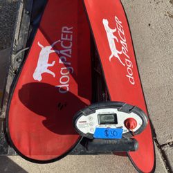 doggie treadmill (cash only)