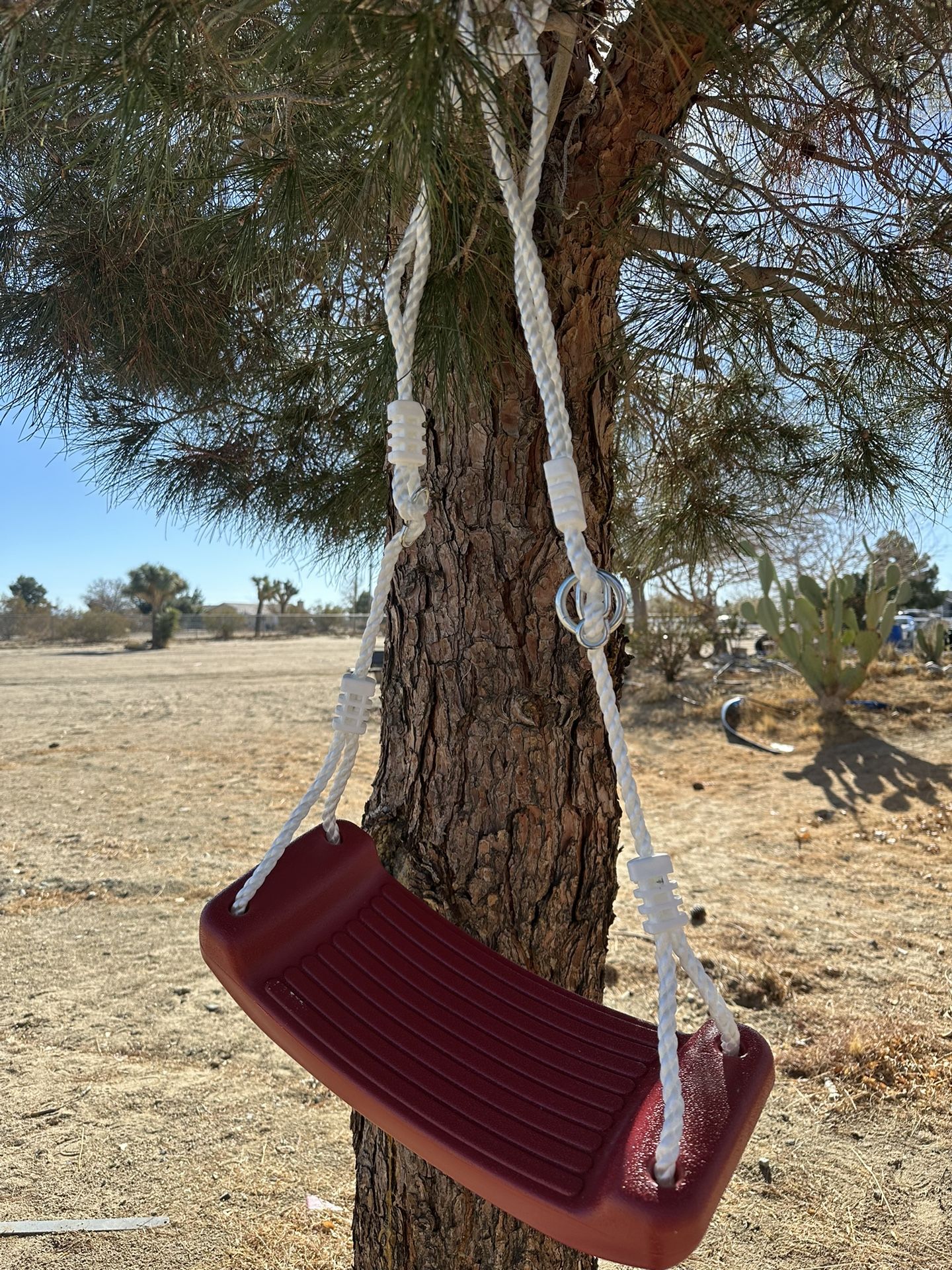 Swing Seat Red And Blue