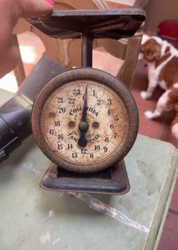 Columbia 24-pound  scale