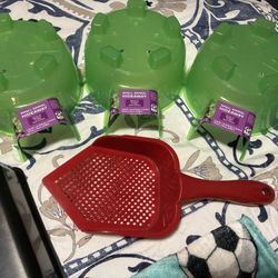 Reptile Stuff 