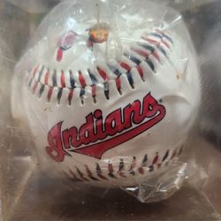  Cleveland Indians 100 Years 1(contact info removed) American League Collectible  Baseball